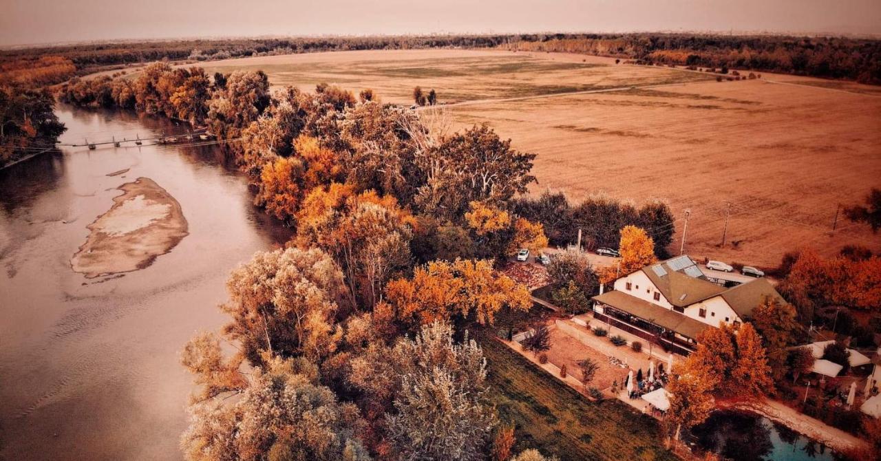 Pensiunea Lunca Arad Bagian luar foto