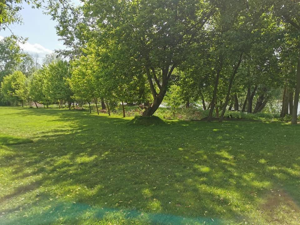 Pensiunea Lunca Arad Bagian luar foto