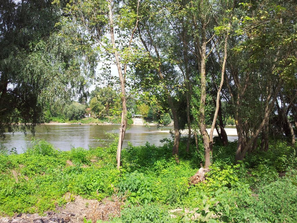 Pensiunea Lunca Arad Bagian luar foto
