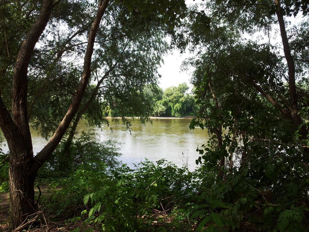 Pensiunea Lunca Arad Bagian luar foto